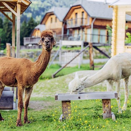 Alpenchalet Alpakablick Sankt Lorenzen ob Murau Exteriör bild